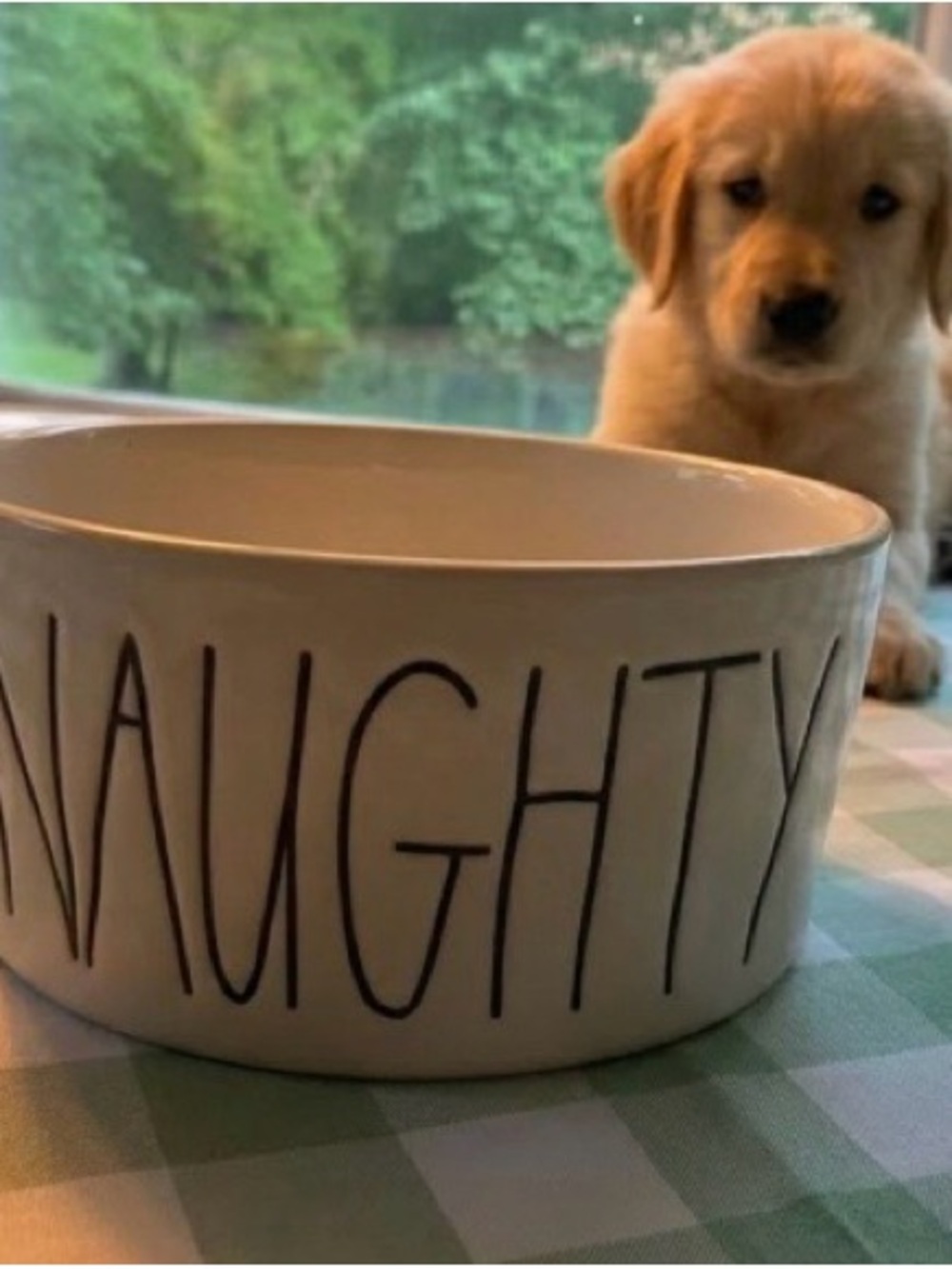 DOGGONE GOOD/RAE DUNN Pet Bowl. Is your fur baby NAUGHTY or NICE? Puppy NOT incl